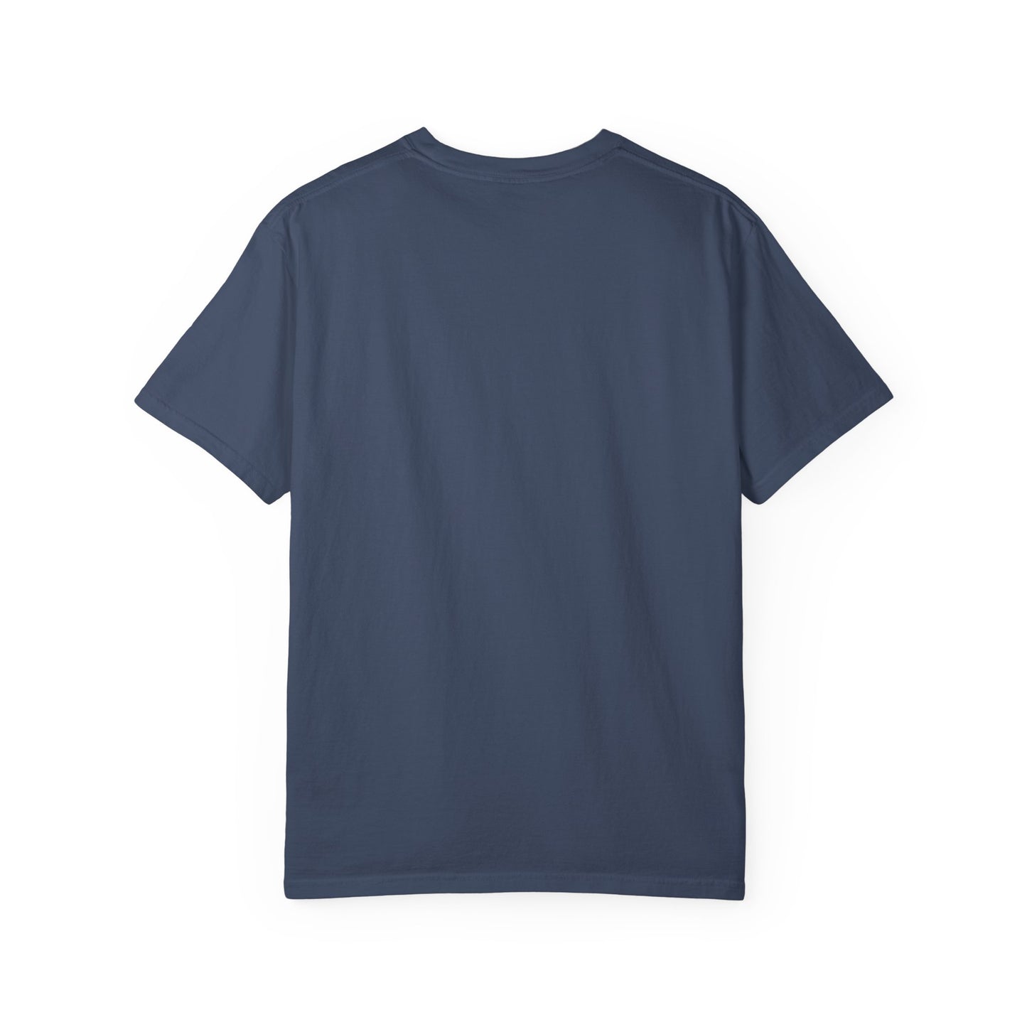 Shield of Sparrows “What if I jumped?” T-Shirt
